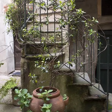 Apartment Sotto I Merli *